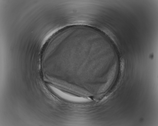 X0000116781069201001071232