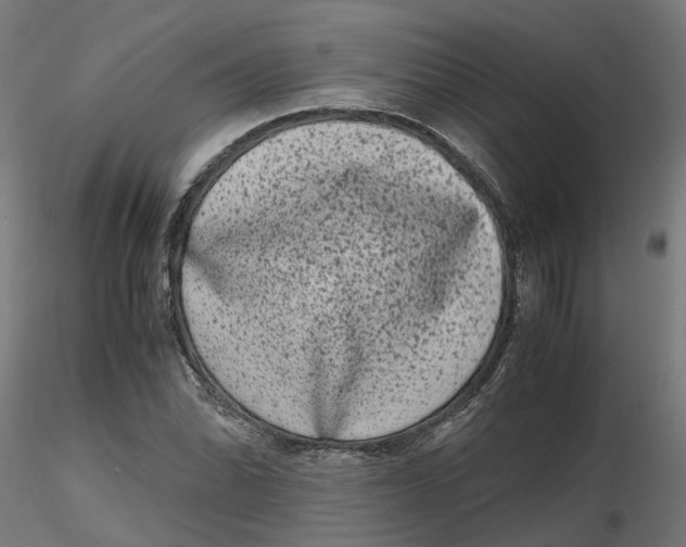 X0000116781070201001071232