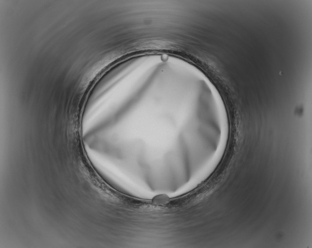 X0000116781073201001071232