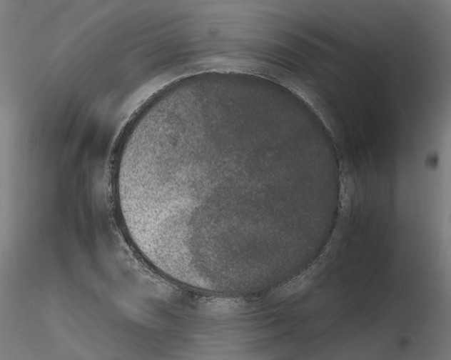 X0000116781074201001071232