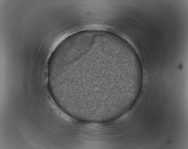 X0000116781075201001071232