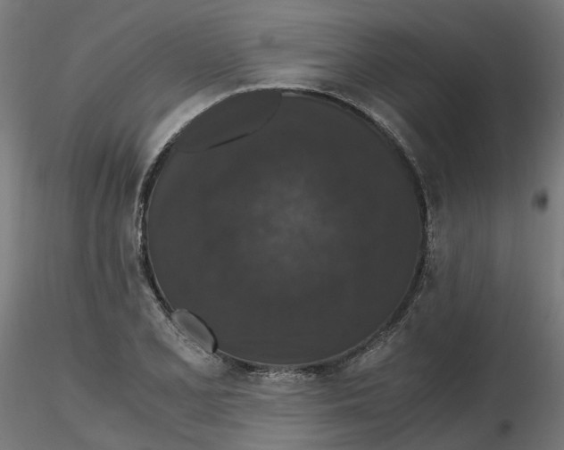 X0000116781077201001071232