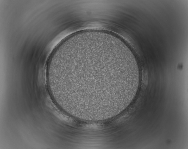 X0000116781078201001071232