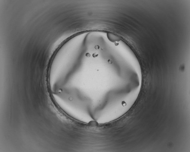 X0000116781086201001071232