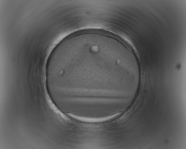 X0000116781088201001071232