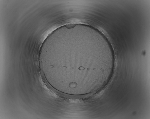 X0000116781089201001071232