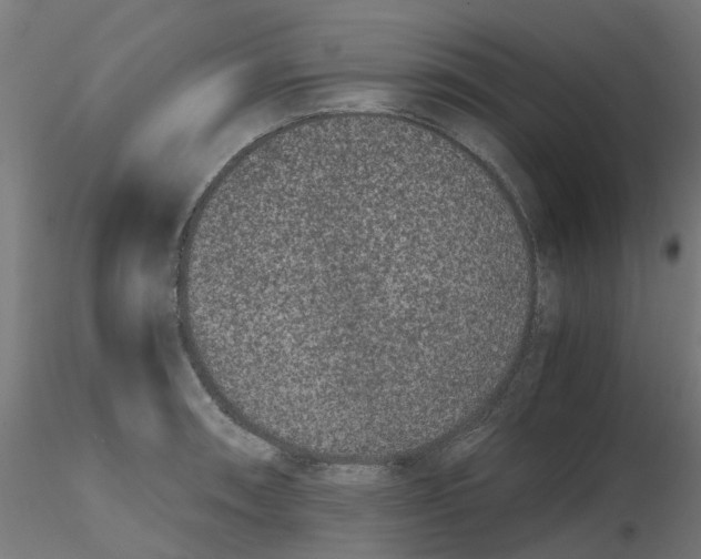 X0000116781090201001071232