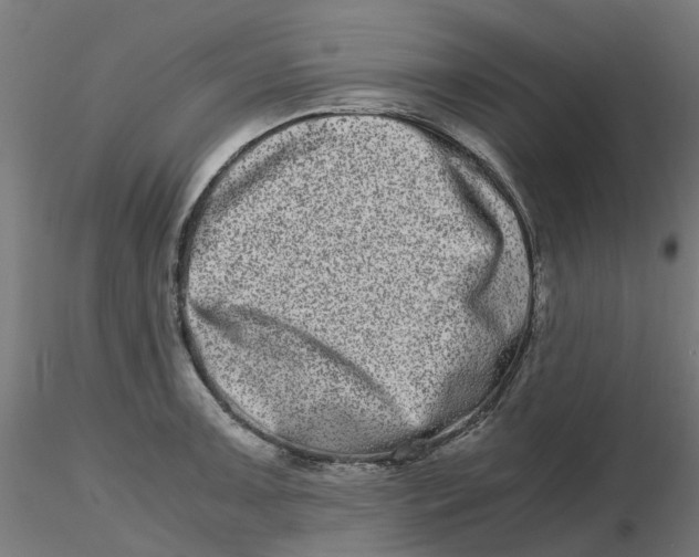 X0000116781091201001071232