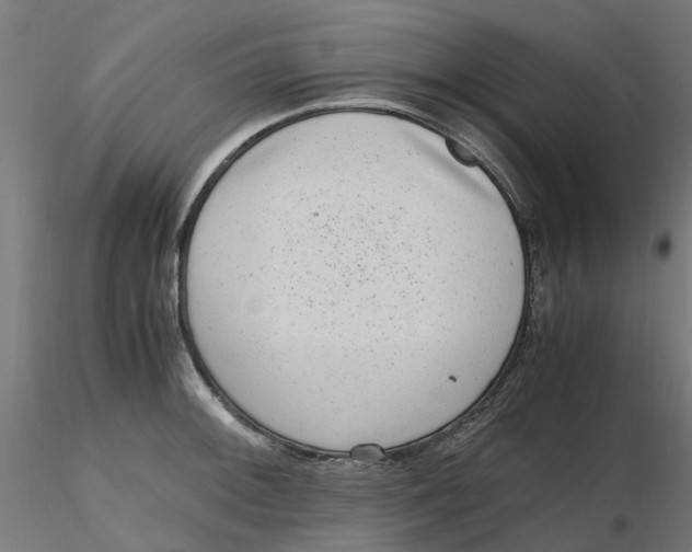 X0000116781092201001071232