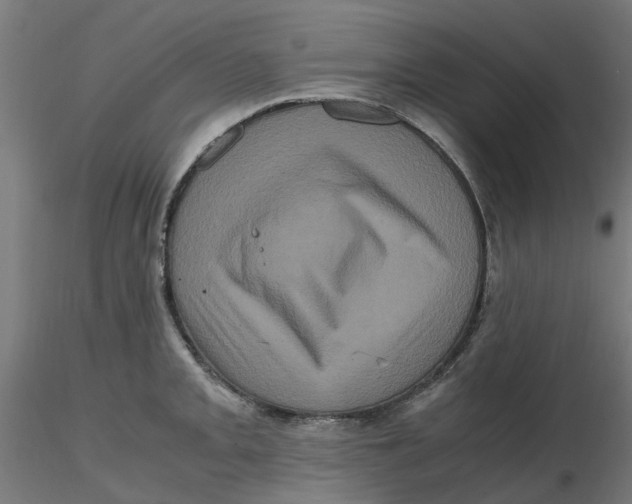 X0000116781093201001071232