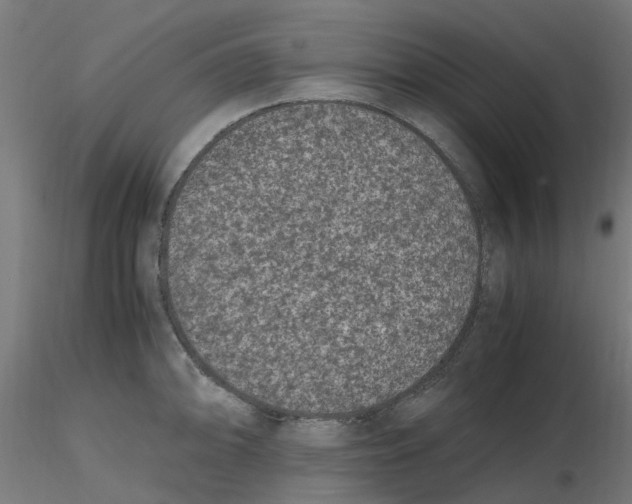 X0000116781094201001071232