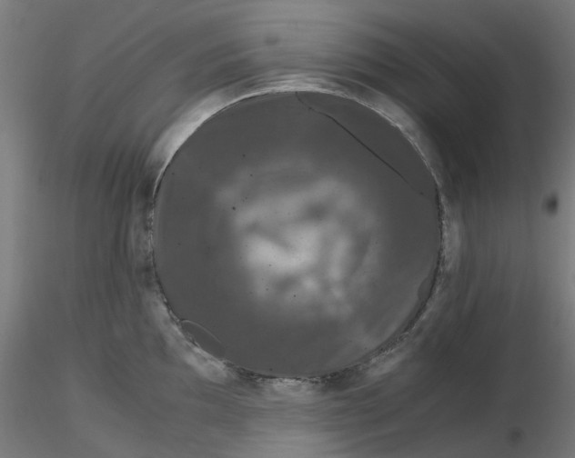 X0000116781097201001071232