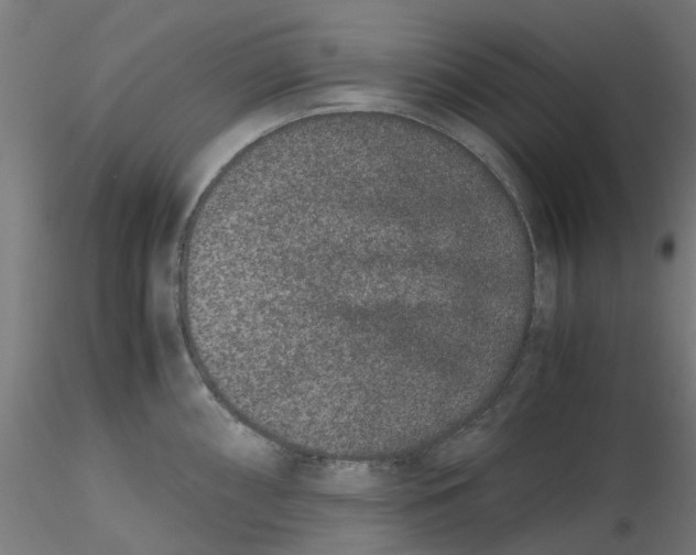 X0000116781098201001071232