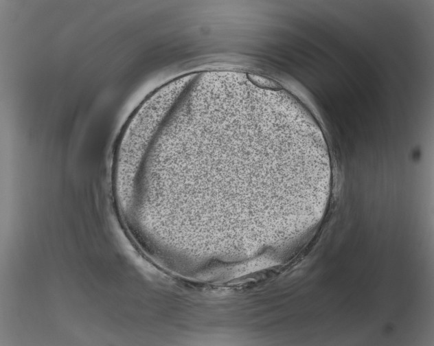 X0000116781099201001071232