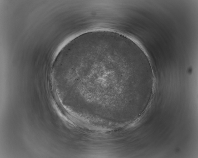 X0000116781101201001071232