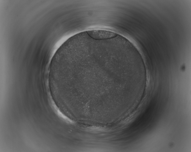 X0000116781102201001071232