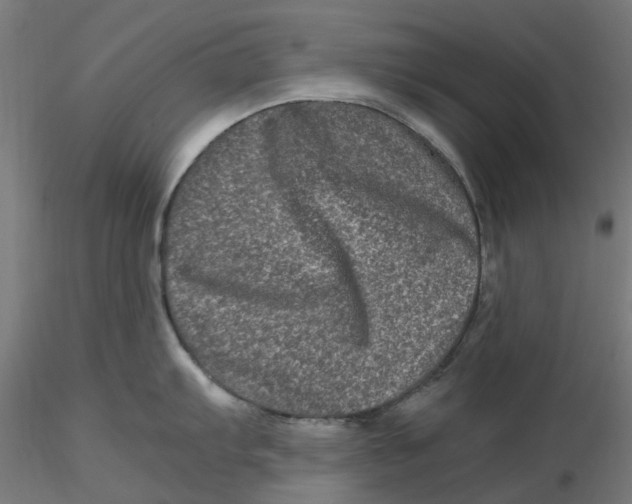 X0000116781103201001071232