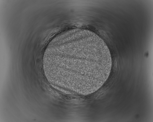 X0000116781105201001071231