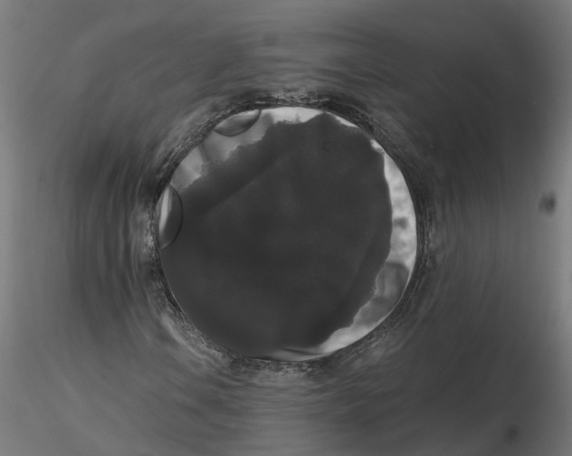 X0000116781106201001071231