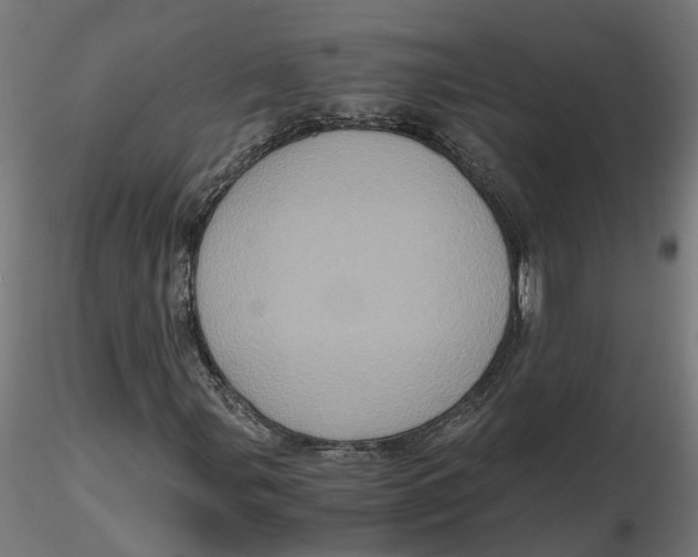 X0000116781107201001071231