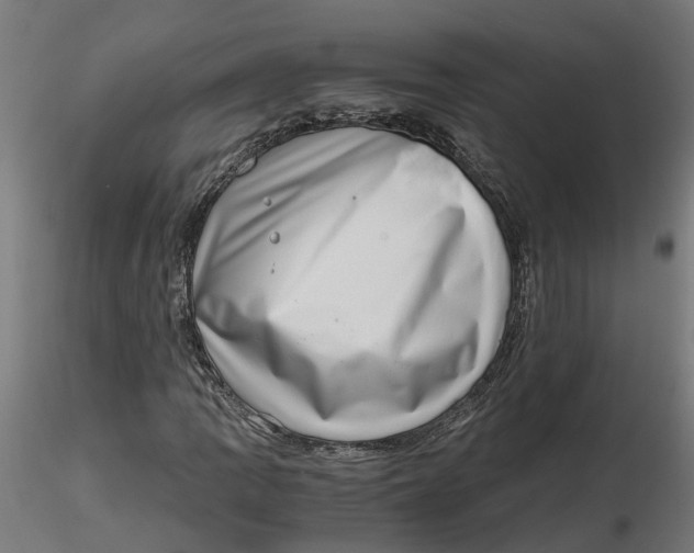 X0000116781109201001071231