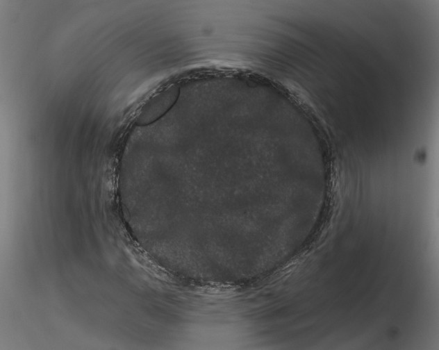 X0000116781110201001071231