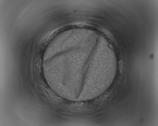 X0000116781111201001071231