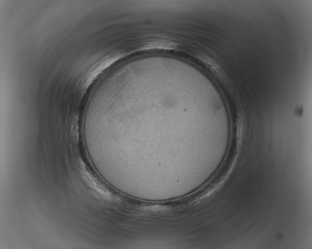 X0000116781113201001071231