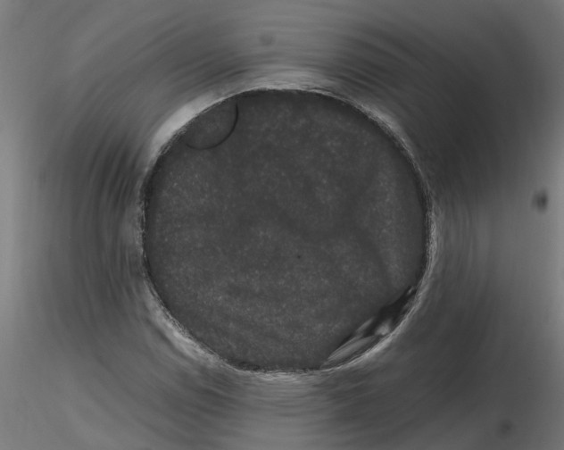 X0000116781114201001071231