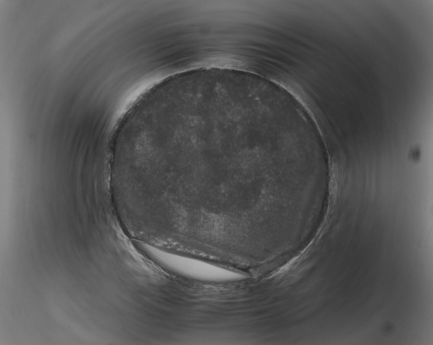 X0000116781115201001071231