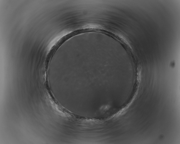 X0000116781117201001071231