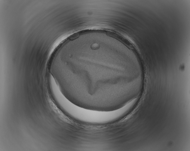 X0000116781122201001071231