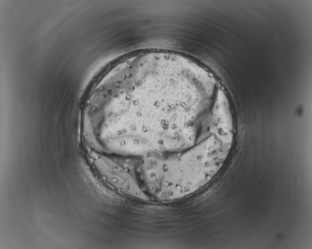 X0000116781123201001071231