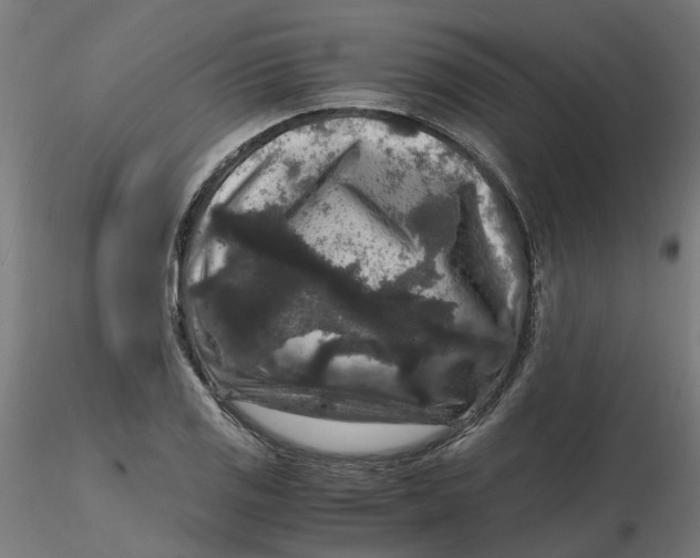 X0000116781125201001071231