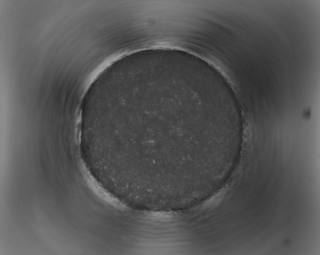 X0000116781126201001071231