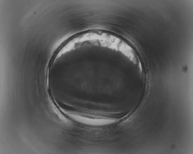 X0000116781127201001071231