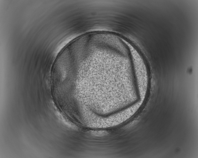 X0000116781129201001071231