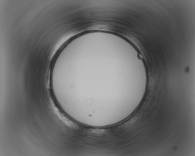 X0000116781131201001071231