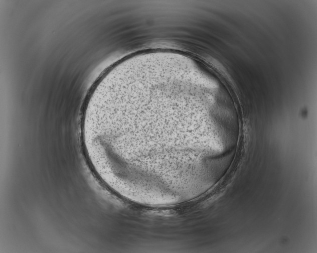 X0000116781133201001071231