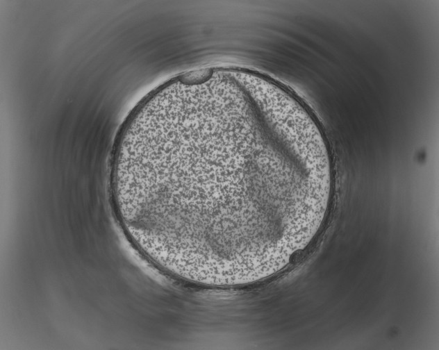 X0000116781134201001071231