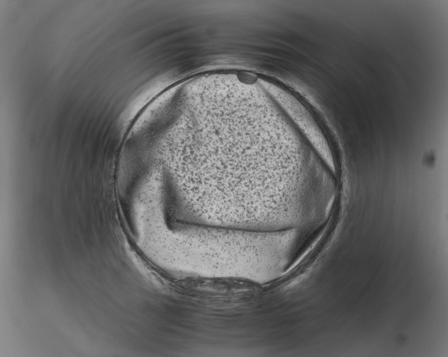 X0000116781137201001071231