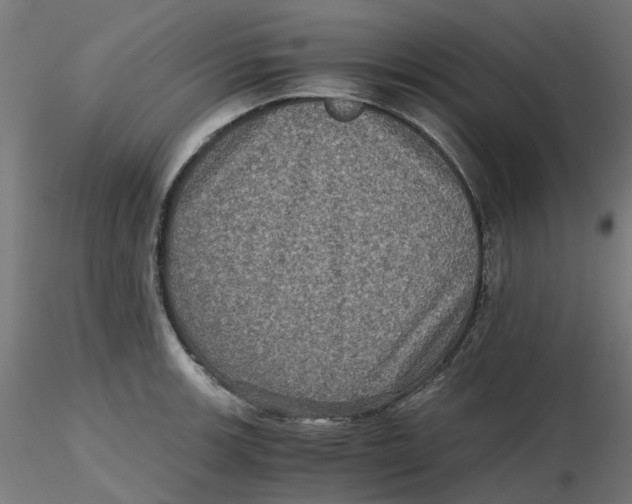 X0000116781139201001071231