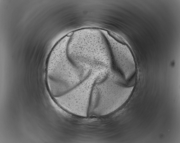 X0000116781143201001071232