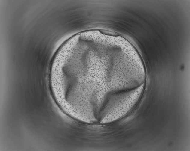 X0000116781149201001071232