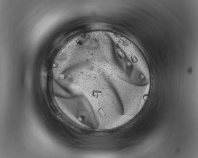 X0000116781151201001071232