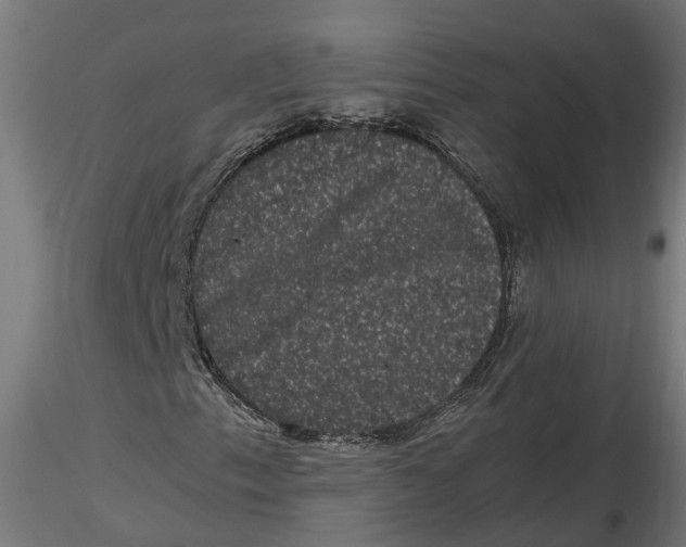 X0000116781153201001071231