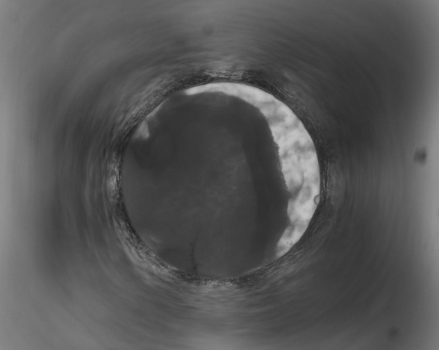 X0000116781154201001071231