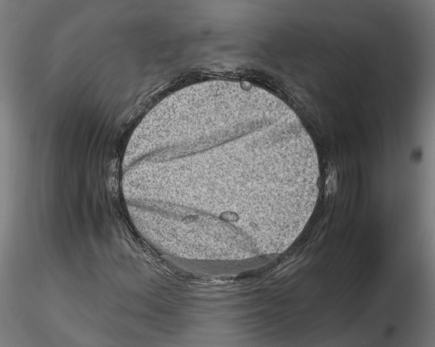 X0000116781156201001071231