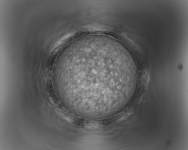 X0000116781157201001071231