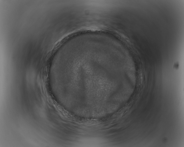 X0000116781158201001071231